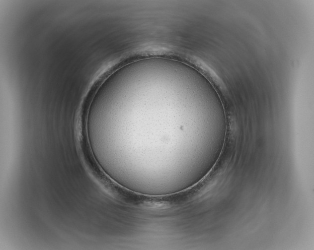 X0000111590582200907301428