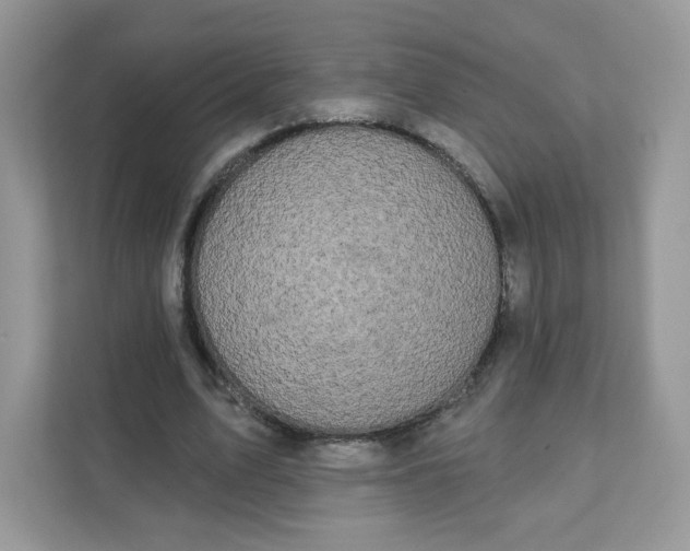 X0000111590583200907301428