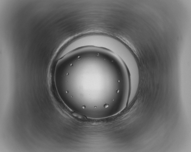 X0000111590584200907301428