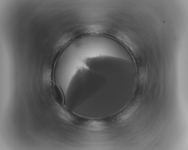 X0000111590585200907301428