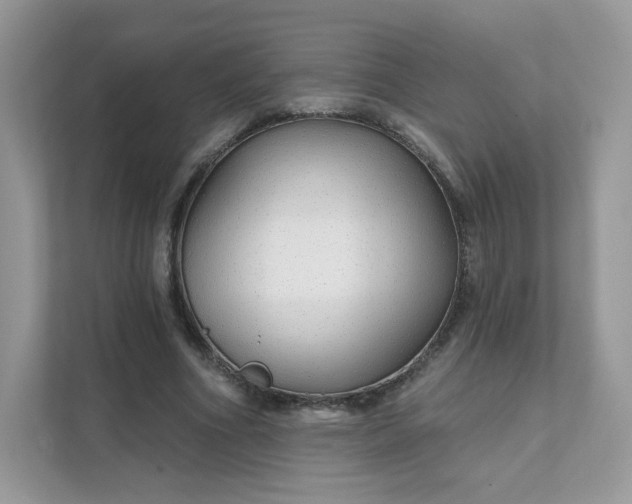 X0000111590586200907301428