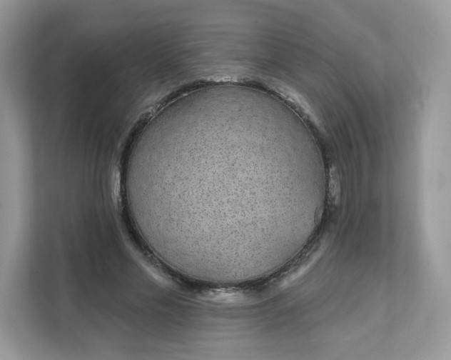 X0000111590589200907301428