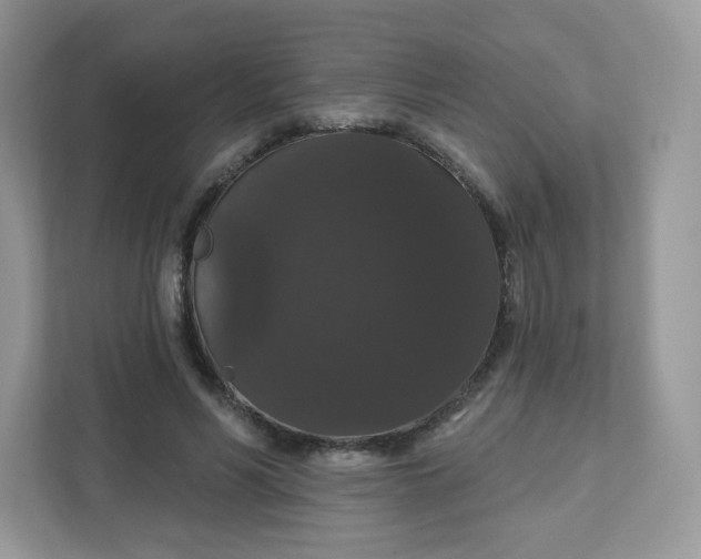 X0000111590590200907301428