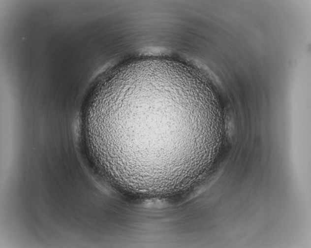 X0000111590591200907301428