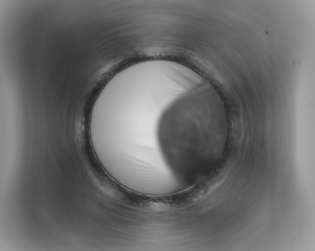 X0000111590592200907301428