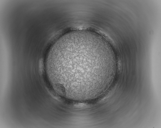 X0000111590594200907301428