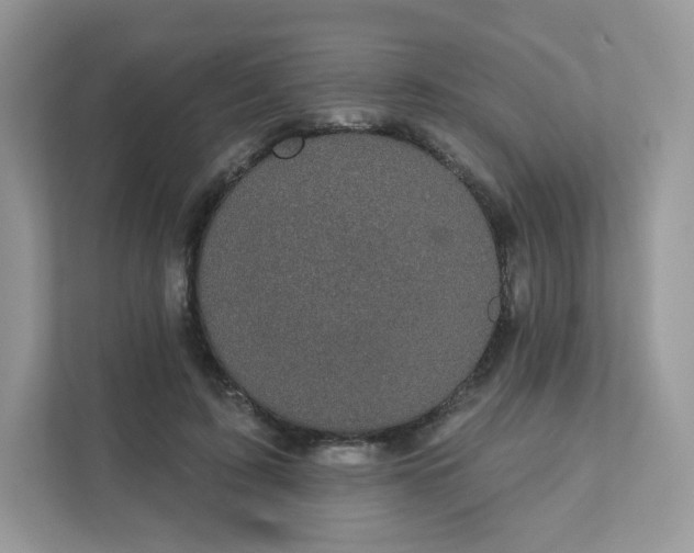 X0000111590595200907301428