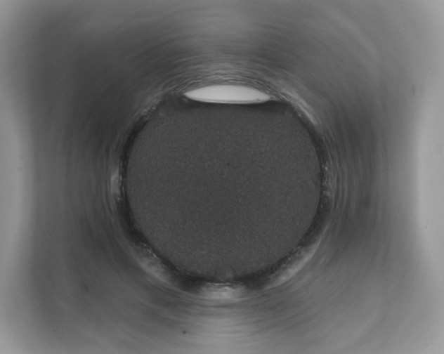 X0000111590597200907301428