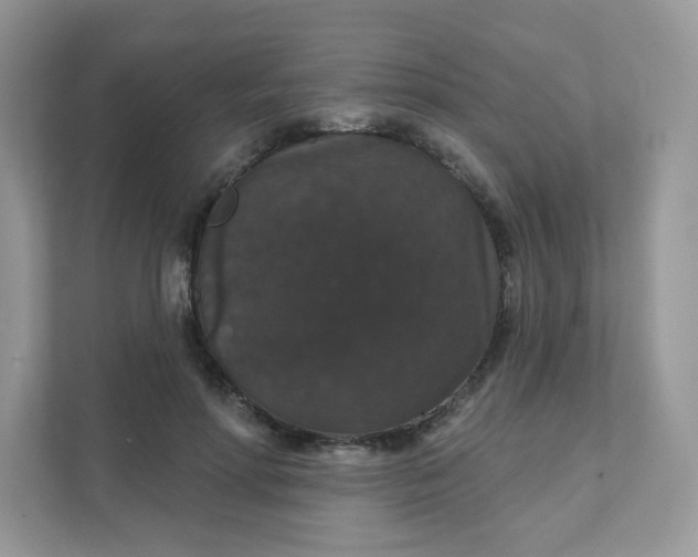 X0000111590598200907301428