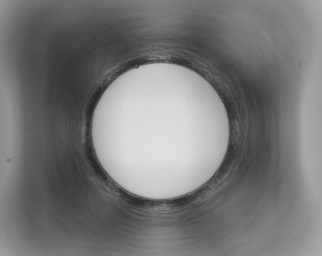 X0000111590600200907301428