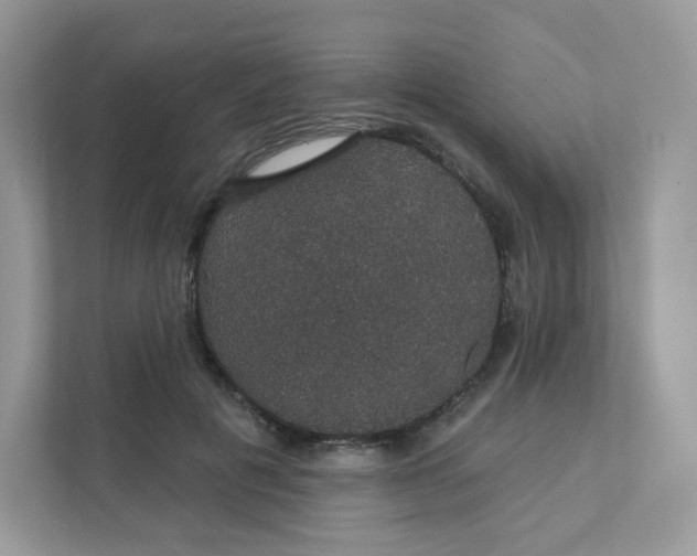 X0000111590601200907301428