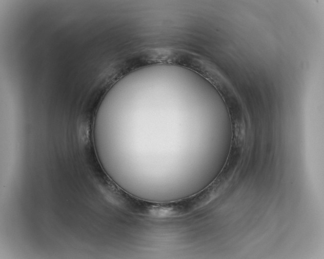 X0000111590602200907301428