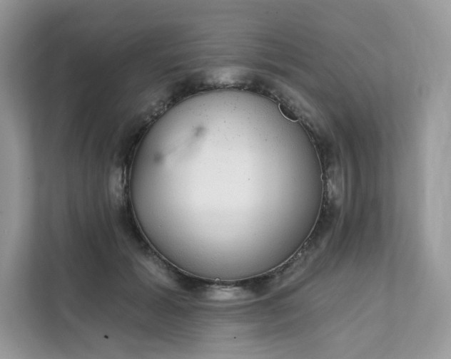 X0000111590605200907301428