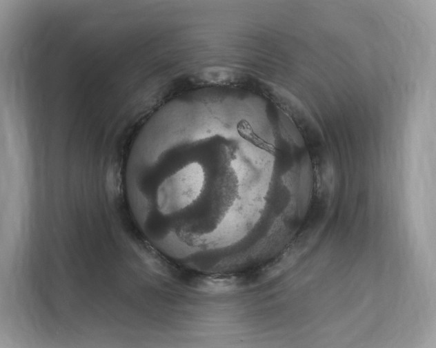 X0000111590606200907301428