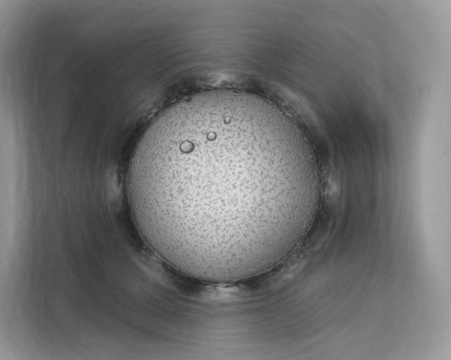 X0000111590607200907301428