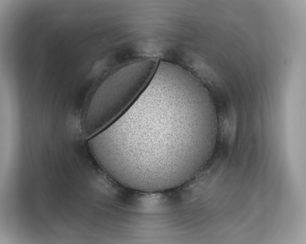 X0000111590609200907301428