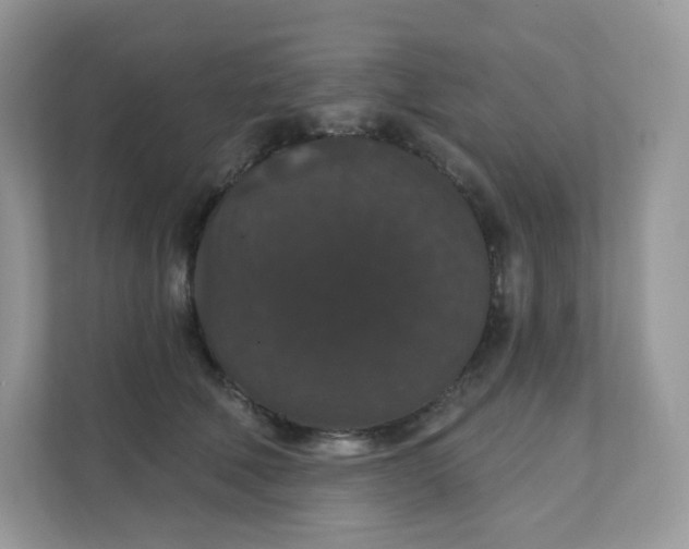 X0000111590610200907301428