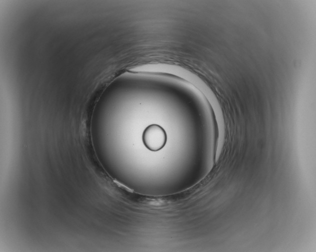 X0000111590611200907301427