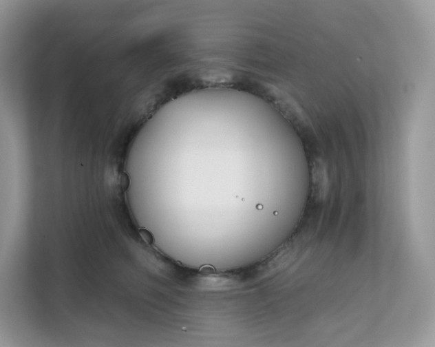 X0000111590614200907301427