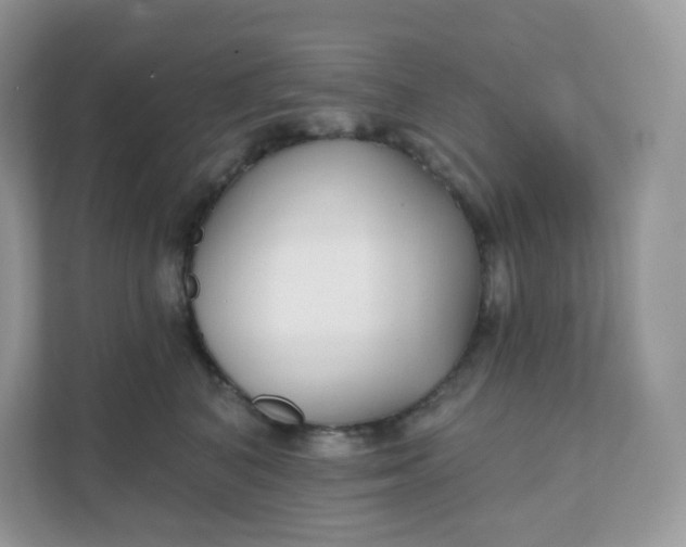 X0000111590616200907301427