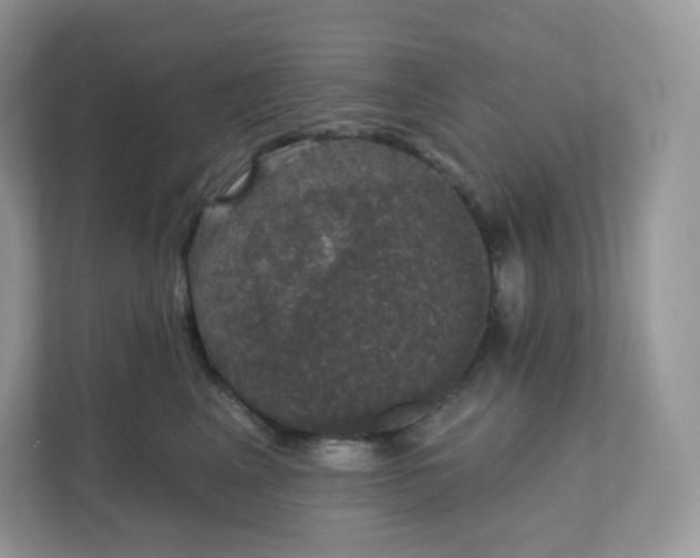 X0000111590617200907301427