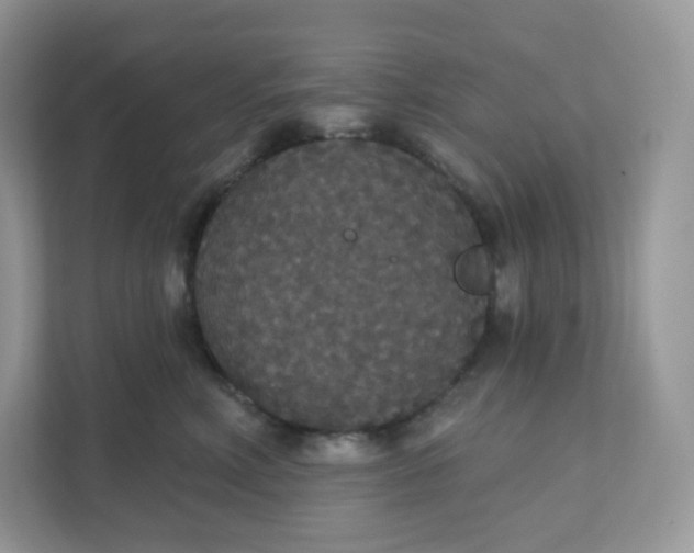 X0000111590618200907301427