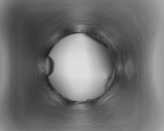 X0000111590620200907301427