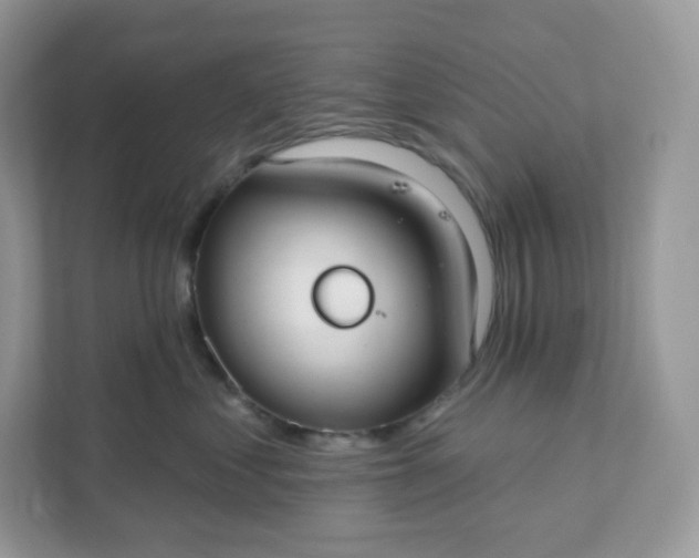 X0000111590621200907301427