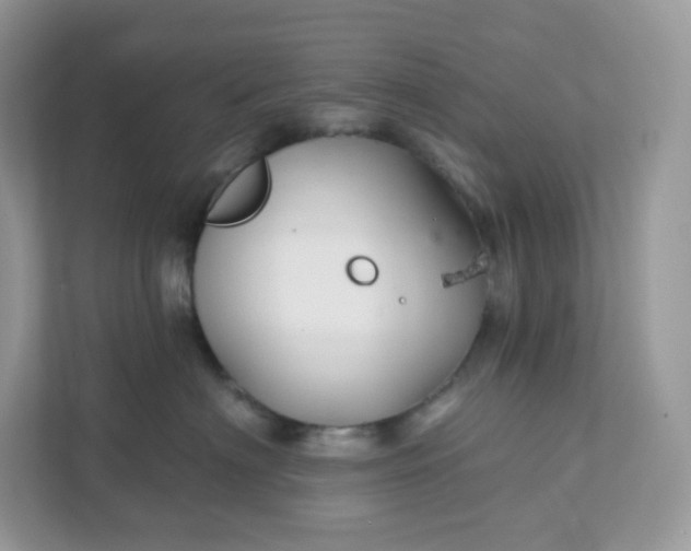 X0000111590622200907301427