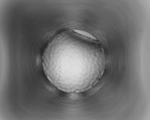 X0000111590623200907301427