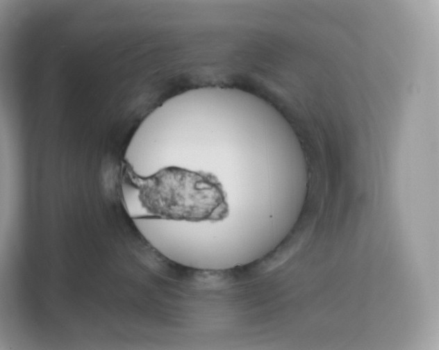 X0000111590624200907301427