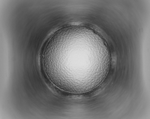 X0000111590626200907301427