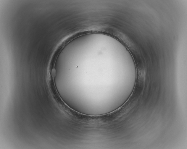 X0000111590628200907301427