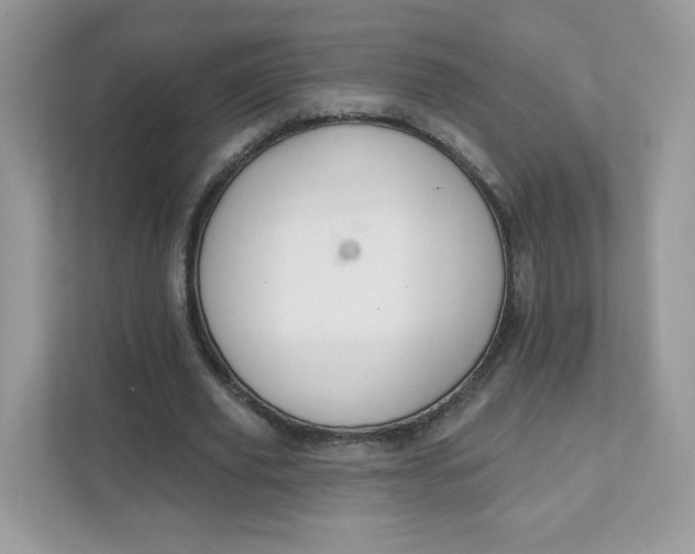 X0000111590629200907301427