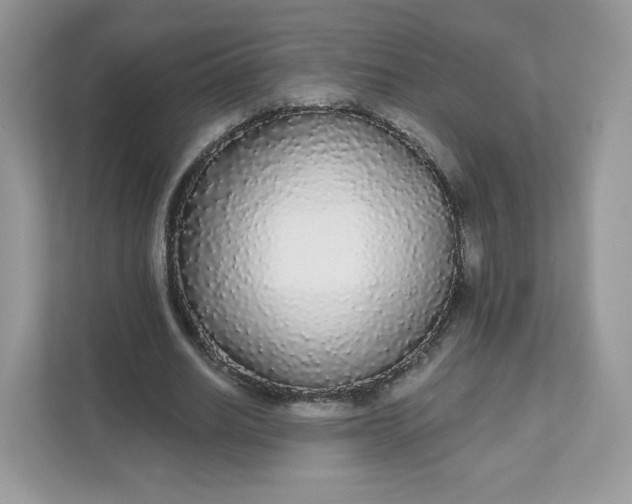 X0000111590630200907301427