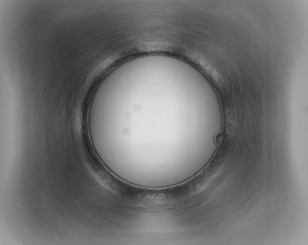 X0000111590631200907301427