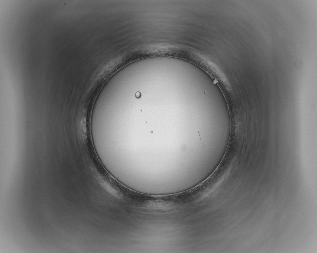 X0000111590633200907301427