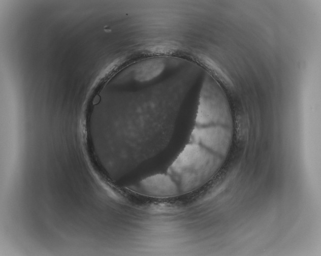 X0000111590634200907301427