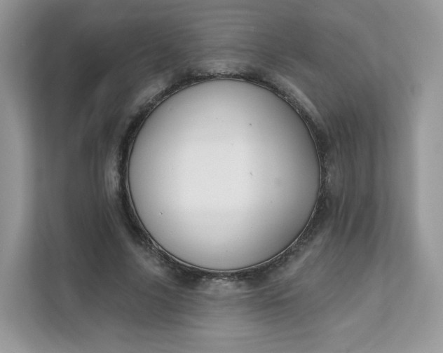 X0000111590635200907301427