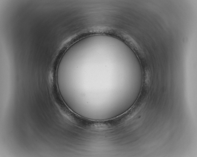 X0000111590636200907301427