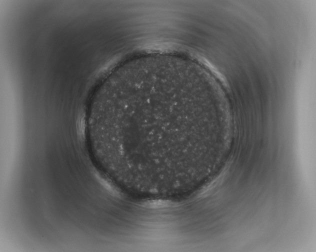 X0000111590637200907301427