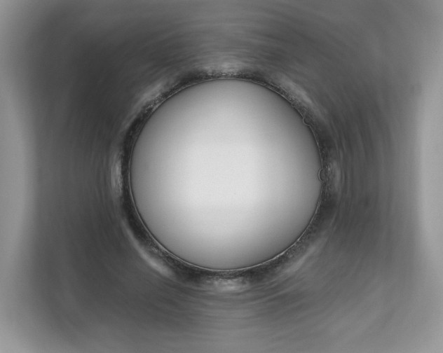 X0000111590638200907301427