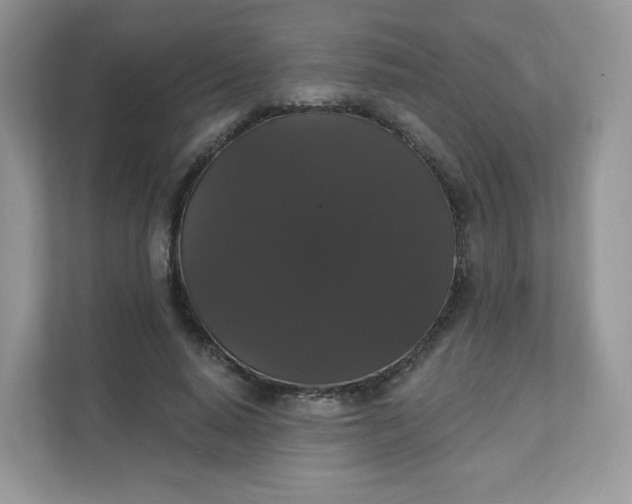 X0000111590640200907301427