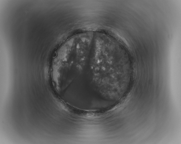 X0000111590641200907301427