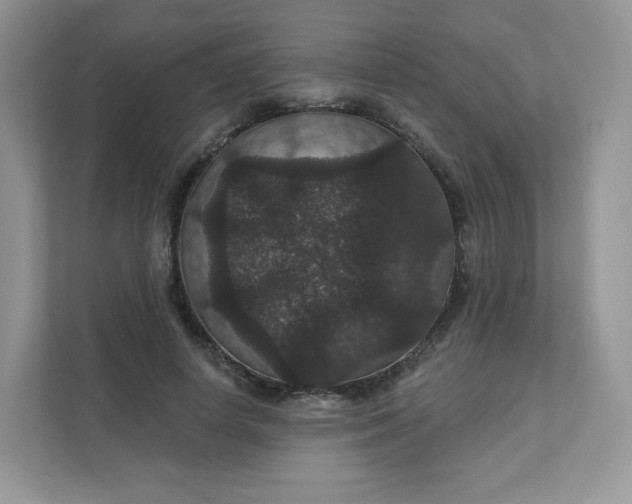 X0000111590642200907301427