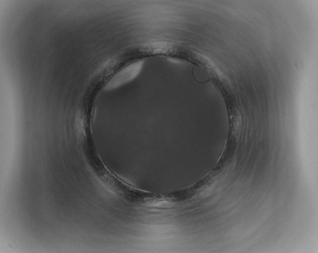 X0000111590643200907301427