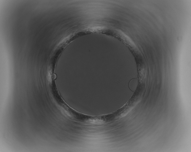 X0000111590644200907301427