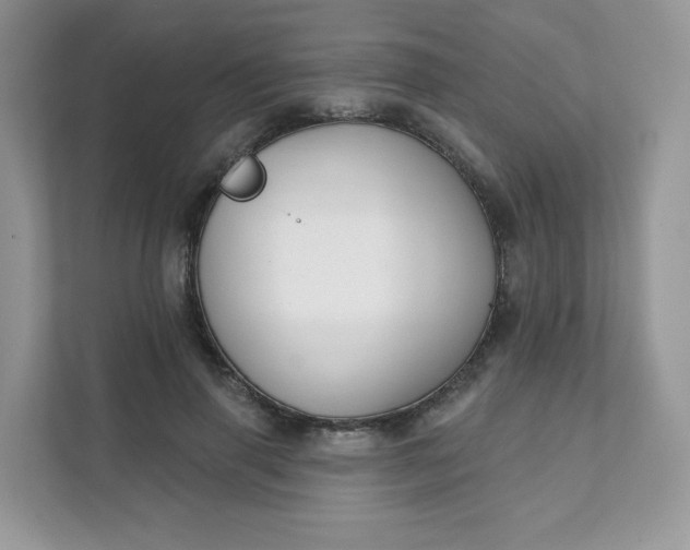 X0000111590645200907301427