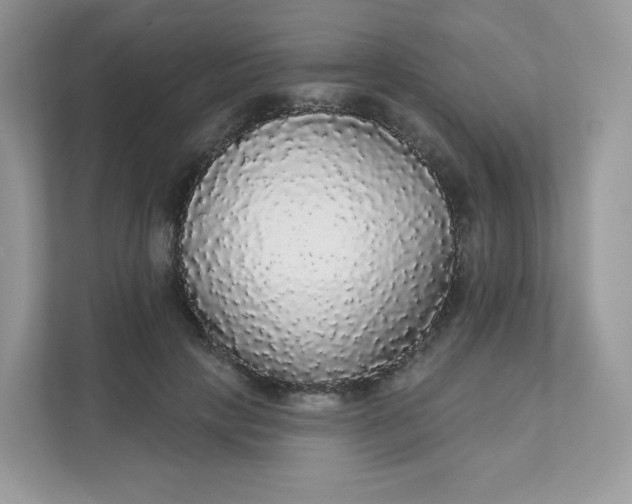 X0000111590649200907301427