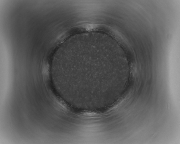 X0000111590650200907301427